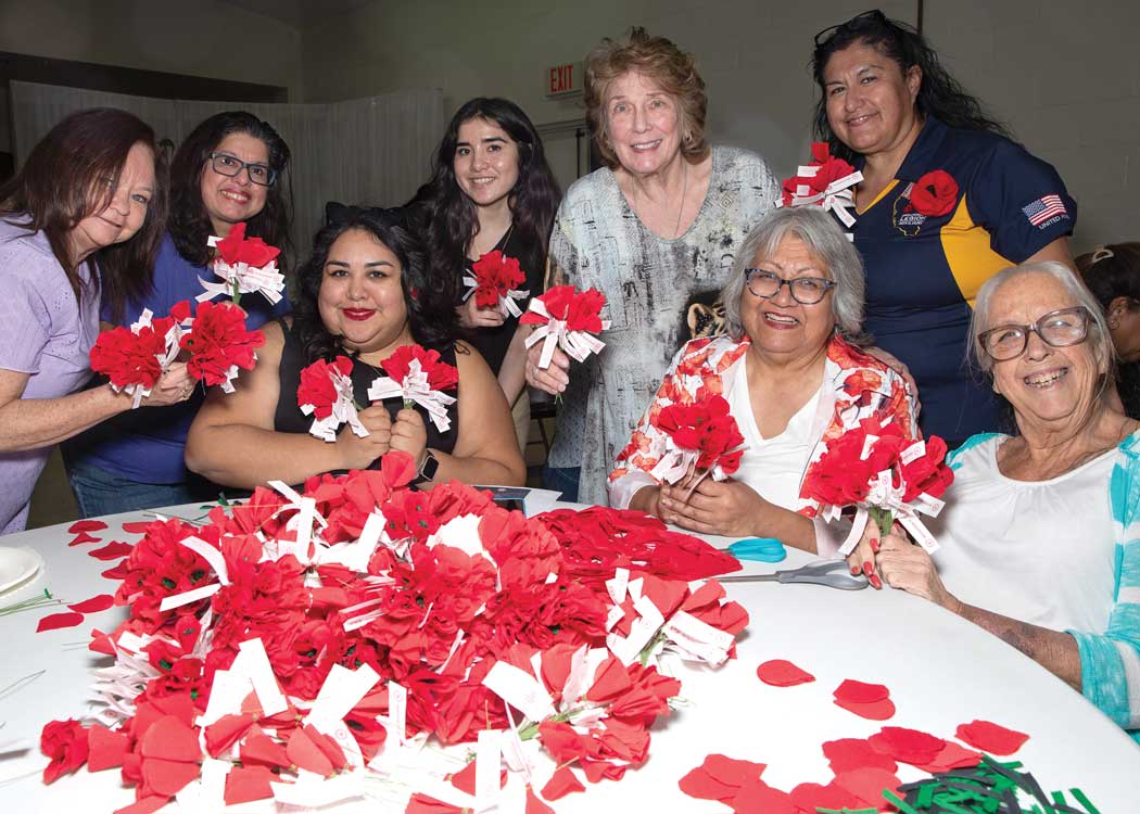 Planning for National Poppy Day