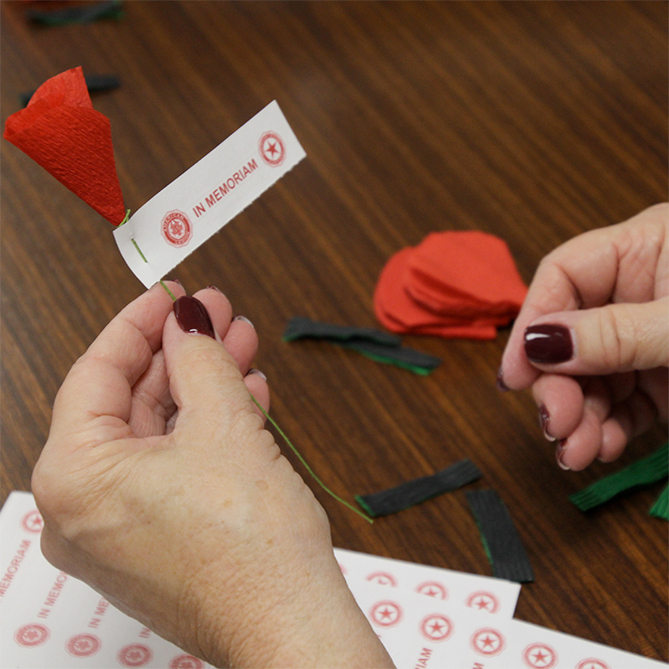 person holding handmade poppy