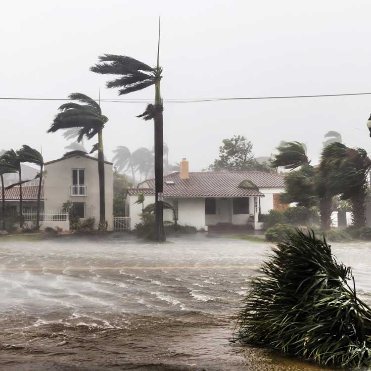 hurricane 