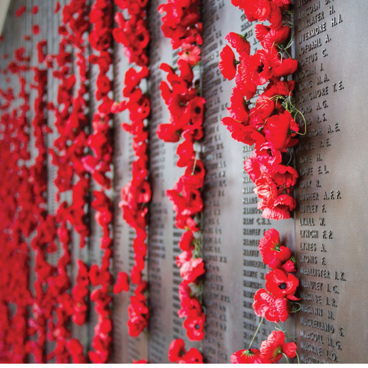 poppies on a memorial wall 