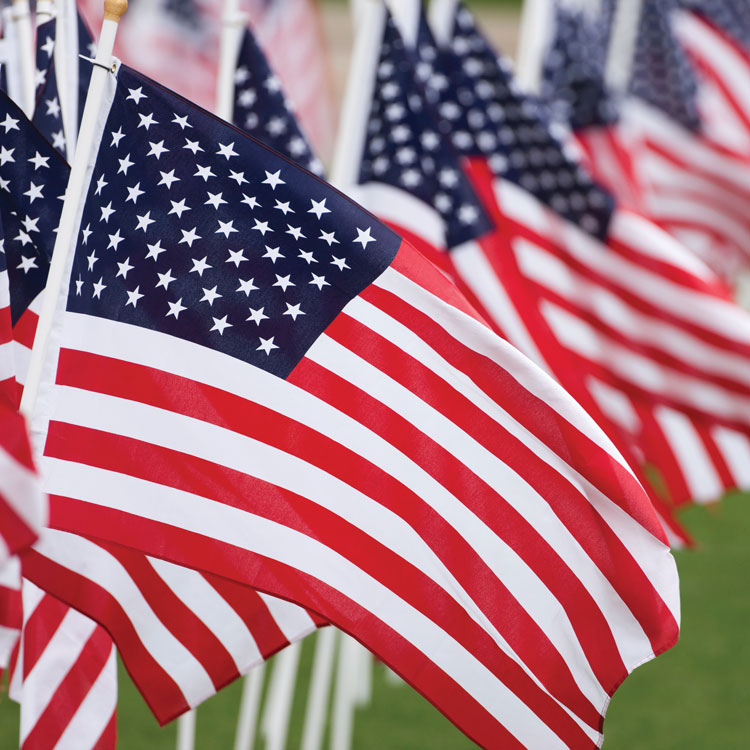 Encourage youth to participate in Americanism Essay Contest