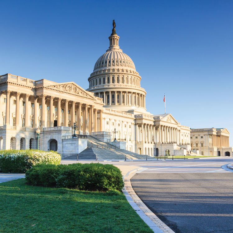 capitol building in D.C.