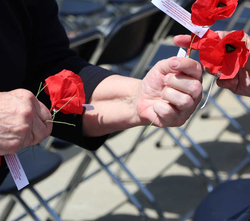 distributing poppies 