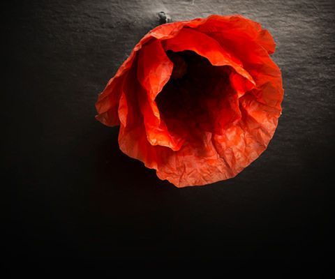 Man wearing a poppy flower